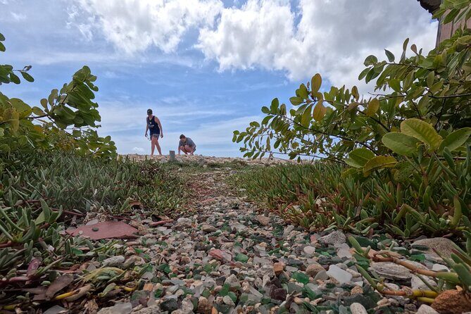 Discover Sea Glass Island: Arubas Must-Do Adventure - Who Should Book This Tour?