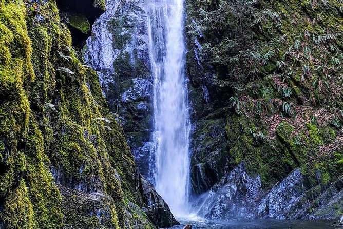 Discover Sooke to Port Renfrew Scenic Tour of Vancouver Islands - Traveler Feedback
