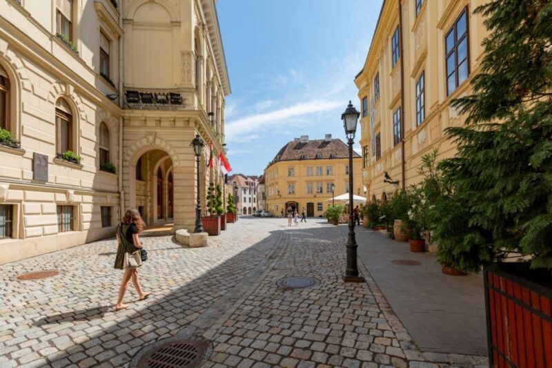 Discover Sopron: Walking Tour of History & Hidden Stories - An In-depth Look at the Sopron Walking Tour