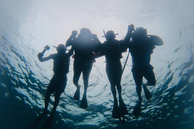 Discover Sosua's Underwater World & Beach Day - The Sum Up: Is This Tour Worth Your Time?