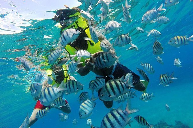 Discover Sosua's Underwater World & Beach Day - FAQ About the Sosua Snorkeling & Beach Day