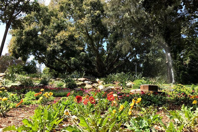 Discover Sydney - Botanic - Practical Tips for Your Journey