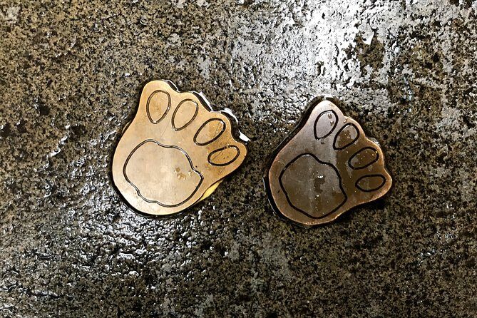 Discover Sydney - An In-Depth Look at the Discover Sydney Trail