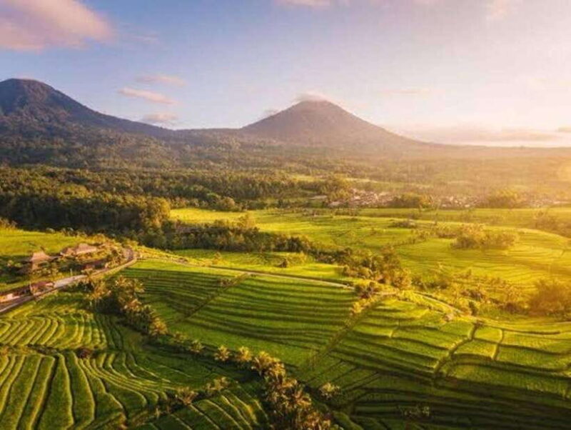Discover Tabanan: Authentic Local Products and Experiences - Who Should Consider This Experience?