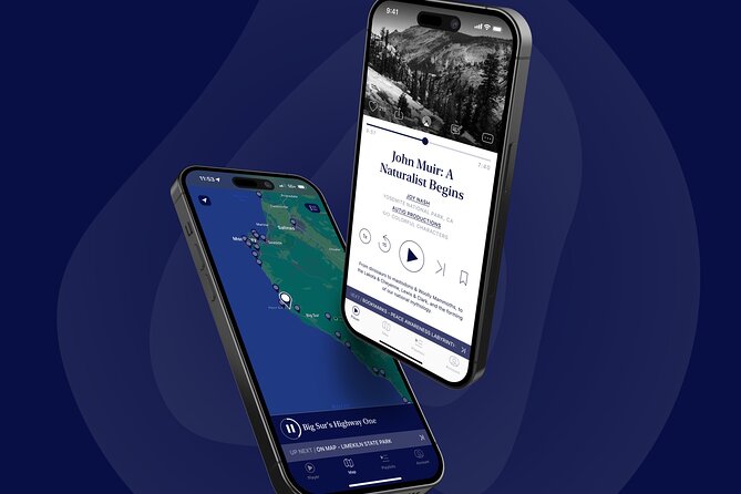 Discover Tampa Virtual Tour Review - User Experiences and Testimonials