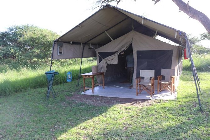 Discover Tanzania Through the 3 Wild Classics - Exploring Arusha Before Your Tour