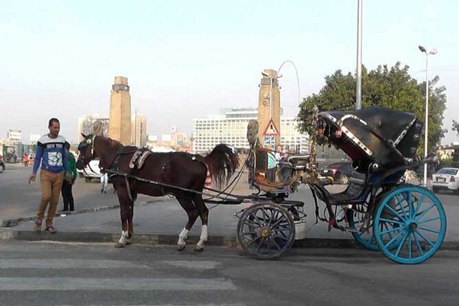 Discover The Amazing Nightlife Of Cairo And Riding the Carriage - Highlights of the Tour