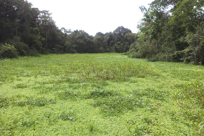 Discover the Amazon for 3 Days 2 Nights - Meeting Point and Pickup