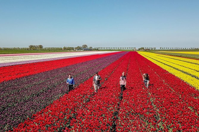 Discover the Amsterdam Lake District and Tulip Fields Tour - Reviews and Ratings