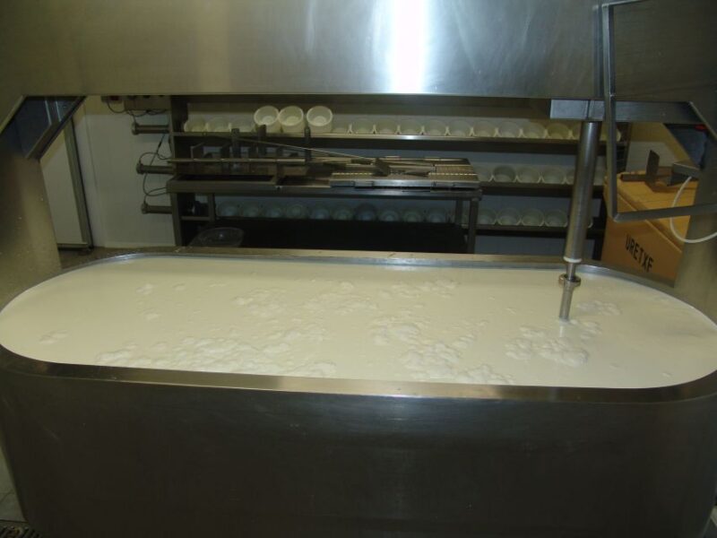 Discover the Art of Idiazabal Cheese in the Basque Country - The Cheese Crafting Experience
