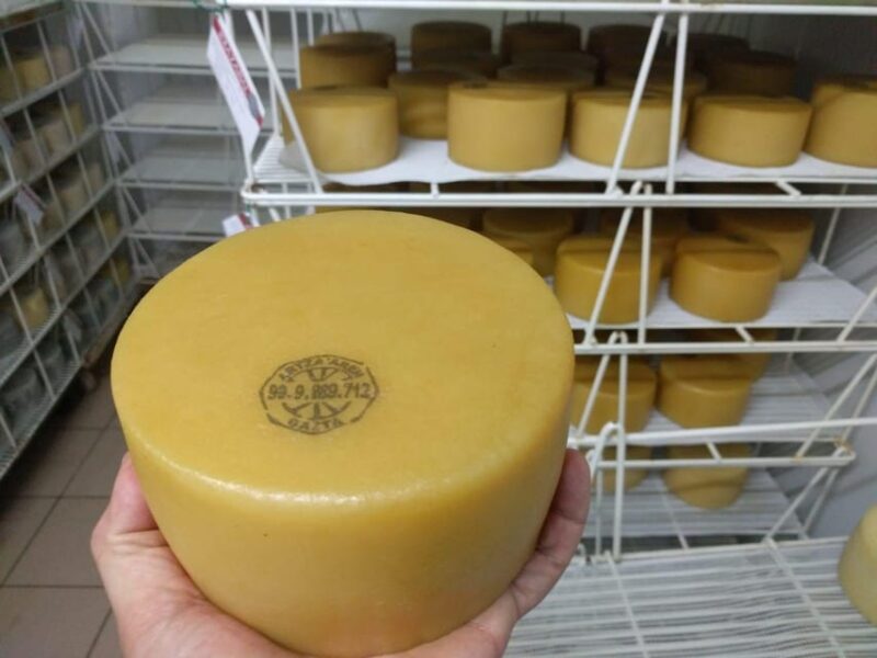 Discover the Art of Idiazabal Cheese in the Basque Country - Savoring the Flavors of Idiazabal
