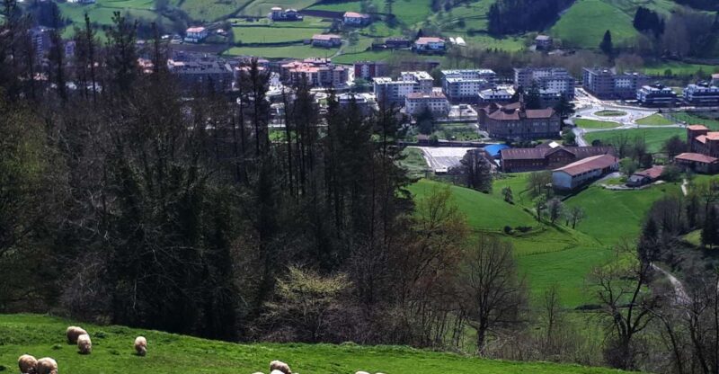 Discover the Art of Idiazabal Cheese in the Basque Country - Scenic Locations for Cheese Tasting