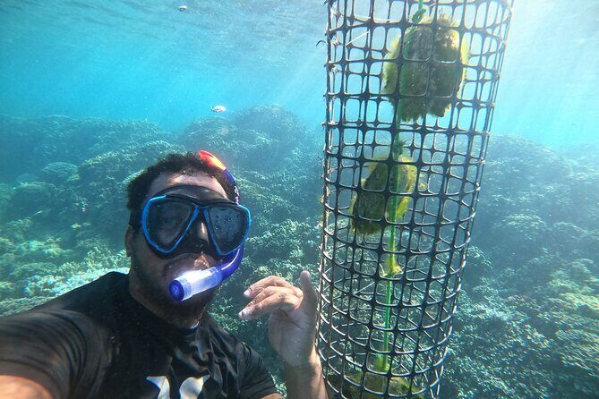 Discover the black pearl in Bora Bora - Return transfer and overall value