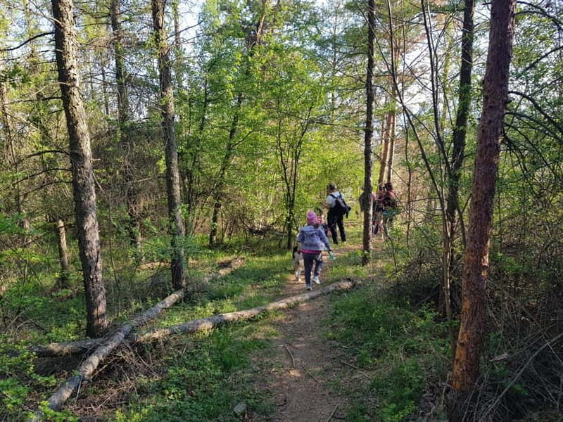 Discover the Charm of Guteria Hill/Sibiu Panorama - Why This Tour Is Worth Considering