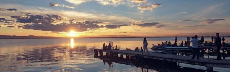 Discover the Devesa and the Albufera: Guided tour - Discover the Devesa and the Albufera: Guided Tour