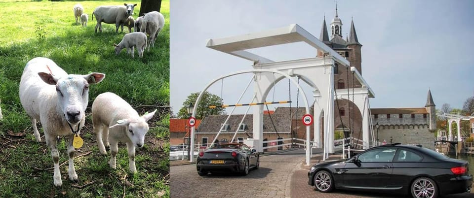 Discover the Dutch Countryside: Car Tour with Local Expert - The Sum Up
