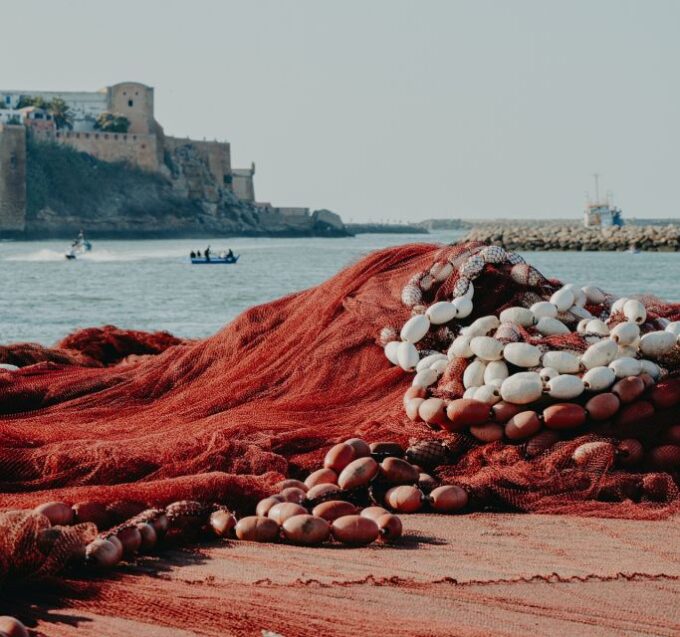 Discover the Enchanting Journey From Fes to Tangier - Frequently Asked Questions