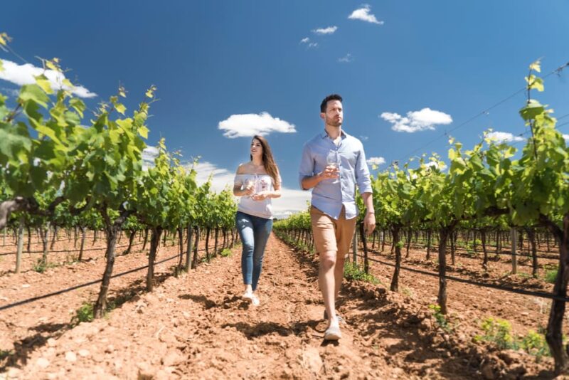 Discover the Essence of Ibiza'S Rich Wine Culture - Uncovering the Winerys Organic Practices