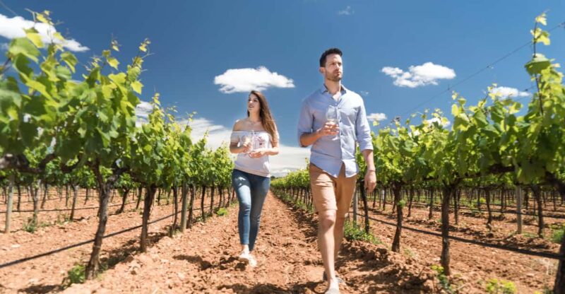 Discover the Essence of Ibiza'S Rich Wine Culture - Exploring the Wine Tasting and Food Pairing