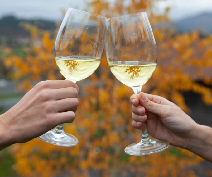 Discover the Essence of Txakoli Wine From San Sebastian - Pairing Txakoli With Local Delicacies