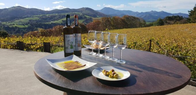 Discover the Essence of Txakoli Wine From San Sebastian - Taking in Basque History and Culture