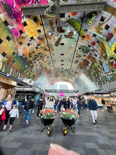 Discover the Hague, Delft & Rotterdam, With Lunch! - Itinerary Highlights