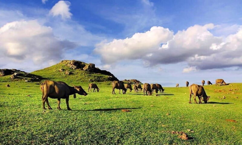 Discover the Heart of Lombok: An Authentic Sasak Tour - Authenticity and Cultural Appreciation