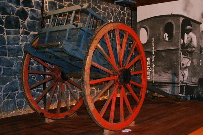 Discover the Heart of the Capital-Port Louis Private Guided Tour (Min.2 Persons) - Key Points