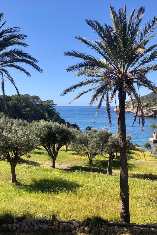 Discover the Island Dragonera by Kayak and on Foot - Discover the Natural Beauty on Foot