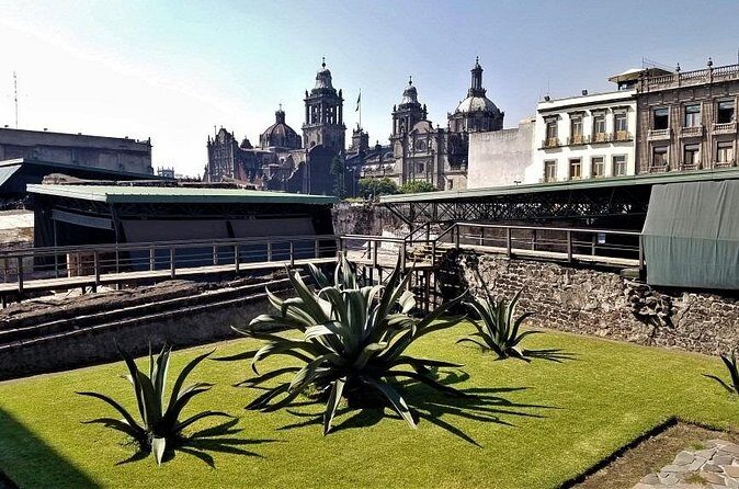 Discover the Latin-American Tower and Historic Center Tour - The Sum Up: A Solid Introduction to Mexico City