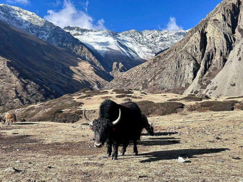 Discover the Lower Mustang : Exclusive Private Tour - Final Thoughts: Is It Worth It?