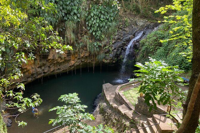 Discover the Magic of Annandale Waterfall & Forest Park - Key Points
