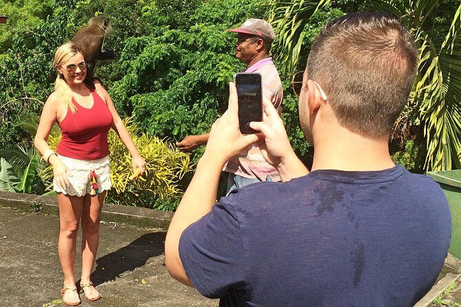 Discover the Magic of Annandale Waterfall & Forest Park - Practical Details and Tips