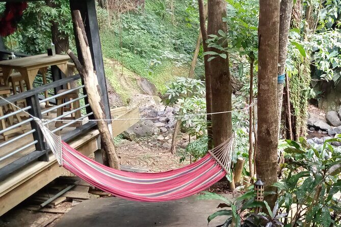 Discover the Magic of Annandale Waterfall & Forest Park - What Reviewers Say