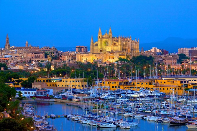 Discover the Major Cultural Attractions of Palma De Mallorca on a Private Tour - Accessibility and Participation Details