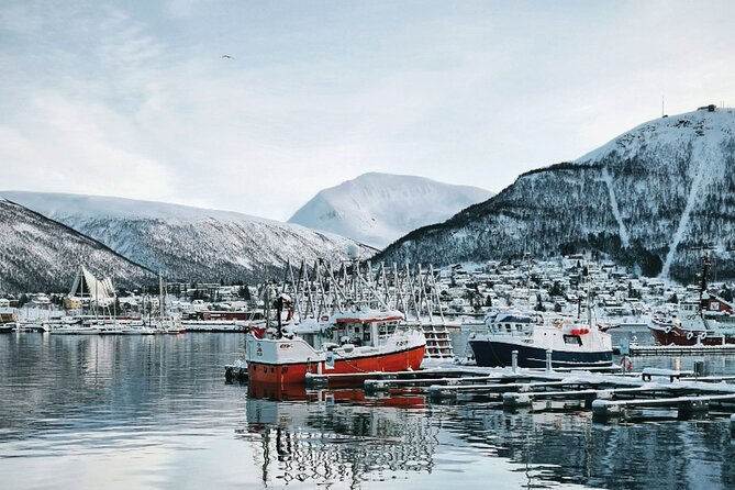 Discover the Most Photogenic Spots of Tromsø With a Local - Exploring Local Insights