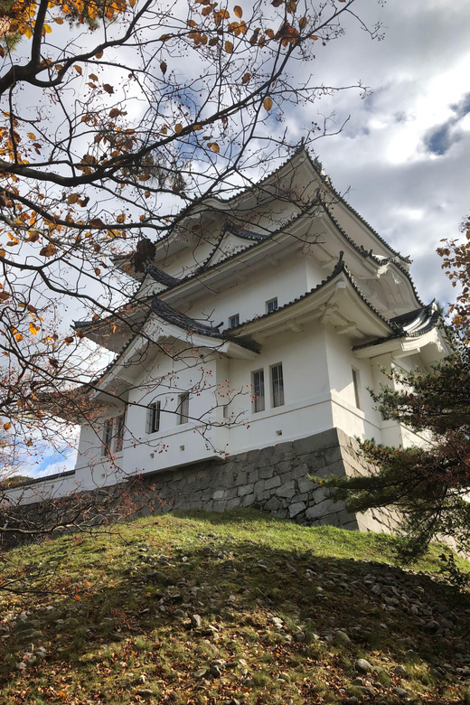 Discover the Ninja Secrets of Iga City (From Nara) - Additional Activities