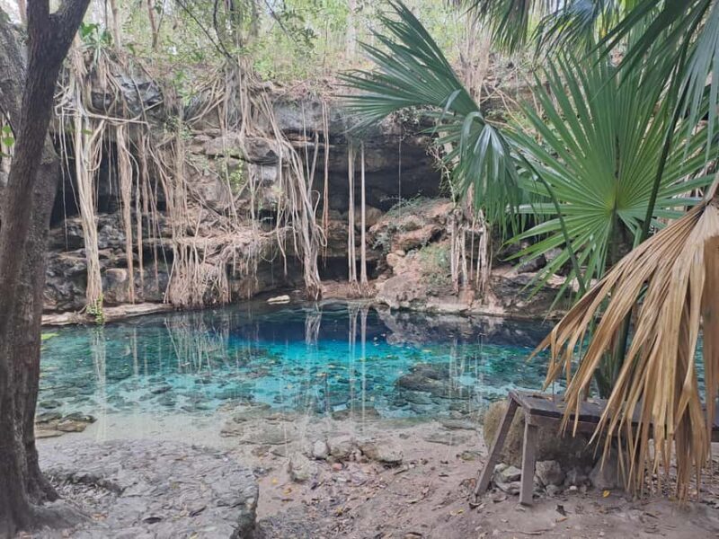 Discover the Serenity: A Tour of the Hidden Cenotes (PVT) - An Authentic Adventure in the Yucatán: What You Can Expect