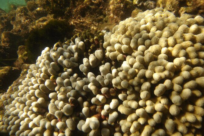 Discover the Splendid Universe of Islands and Seabed - Final Thoughts