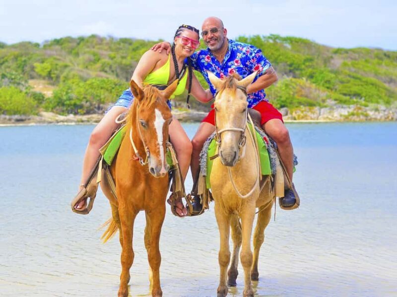 Discover the Trails of Punta Cana on a Horseback Ride - Who Should Consider This Tour?