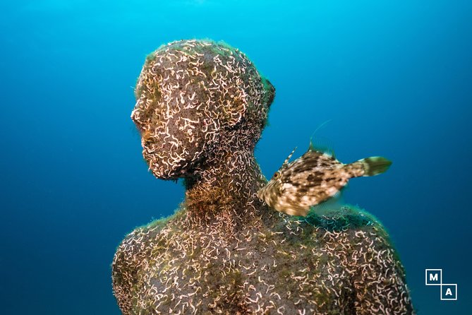 Discover the Underwater World of Lanzarote - Whats Included in the Tour