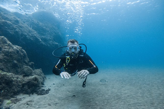 Discover the Underwater World of Lanzarote - Accessibility and Requirements