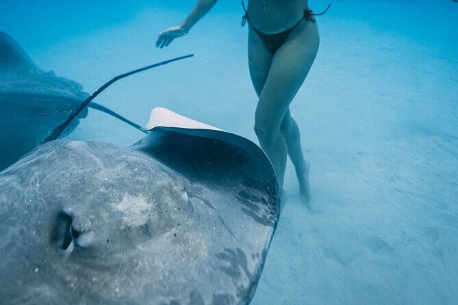 Discover the unspoilt sites of the lagoon DE Moorea - Key Points