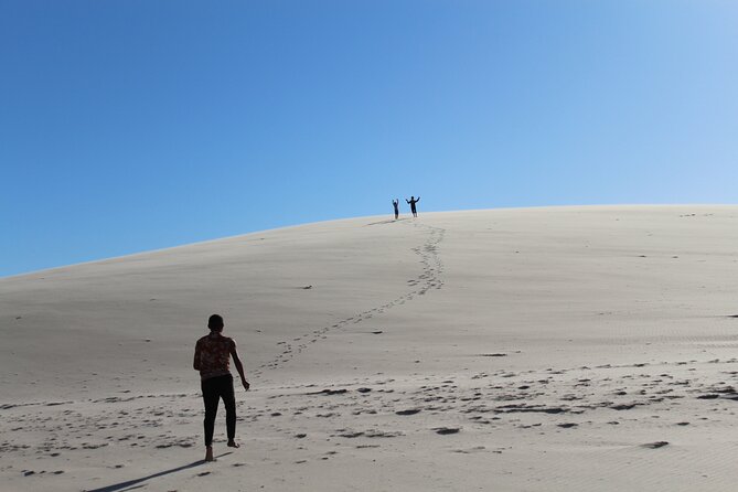 Discover the Unusual Sites of Dakhla in a 4x4 With a Local Guide - Good To Know