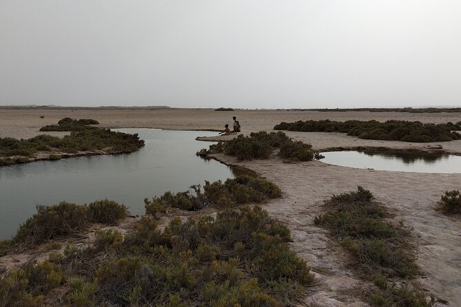 Discover the Unusual Sites of Dakhla in a 4x4 With a Local Guide - Admiring the Sand Dunes