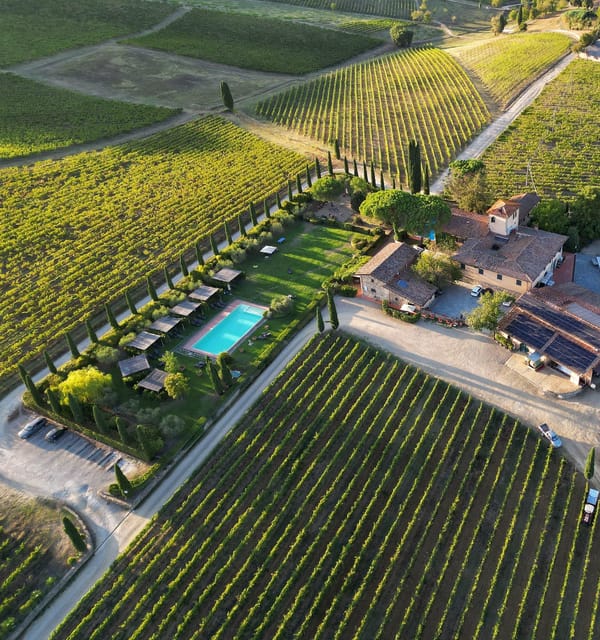 Discover the Wines of Chianti Classico With a Tasting at Viticcio - Unraveling the Secrets of Chianti Classico