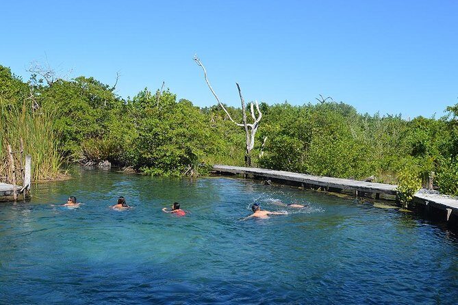Discover the Wonders of Holbox, Cenote and Passion Island. Transport included - Introduction to the Tour Experience
