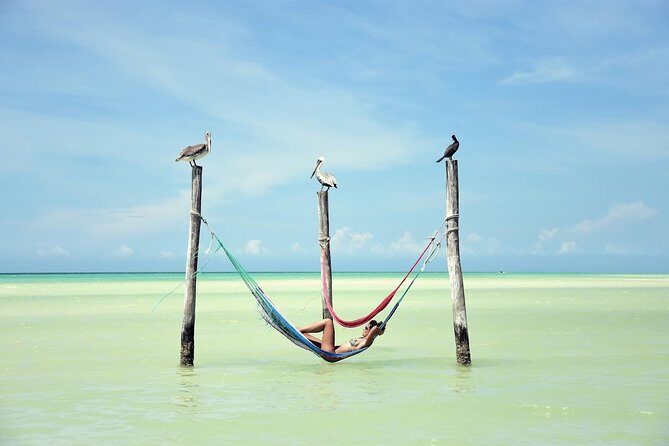 Discover the Wonders of Holbox, Cenote and Passion Island. Transport included - Final Thoughts: Who Will Love This Tour?