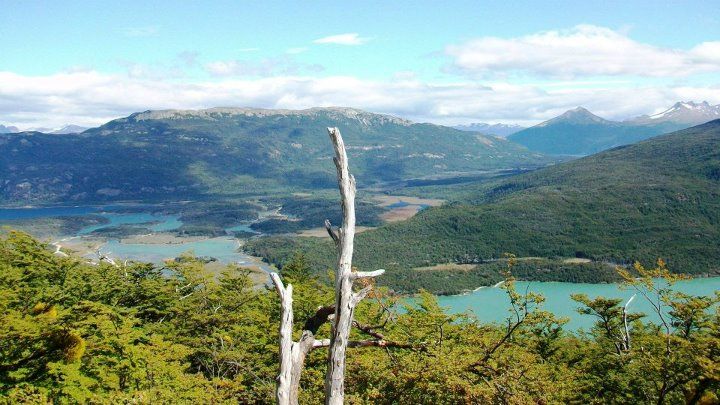 Discover Tierra Del Fuego National Park - Highlights of the Experience