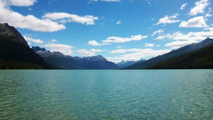 Discover Tierra Del Fuego National Park - Wildlife Encounters